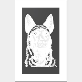 Malinois GSD Dutch White Posters and Art